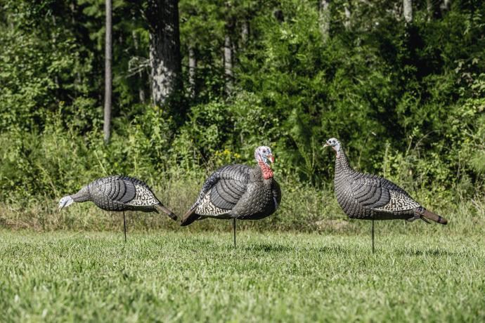 The Flock
